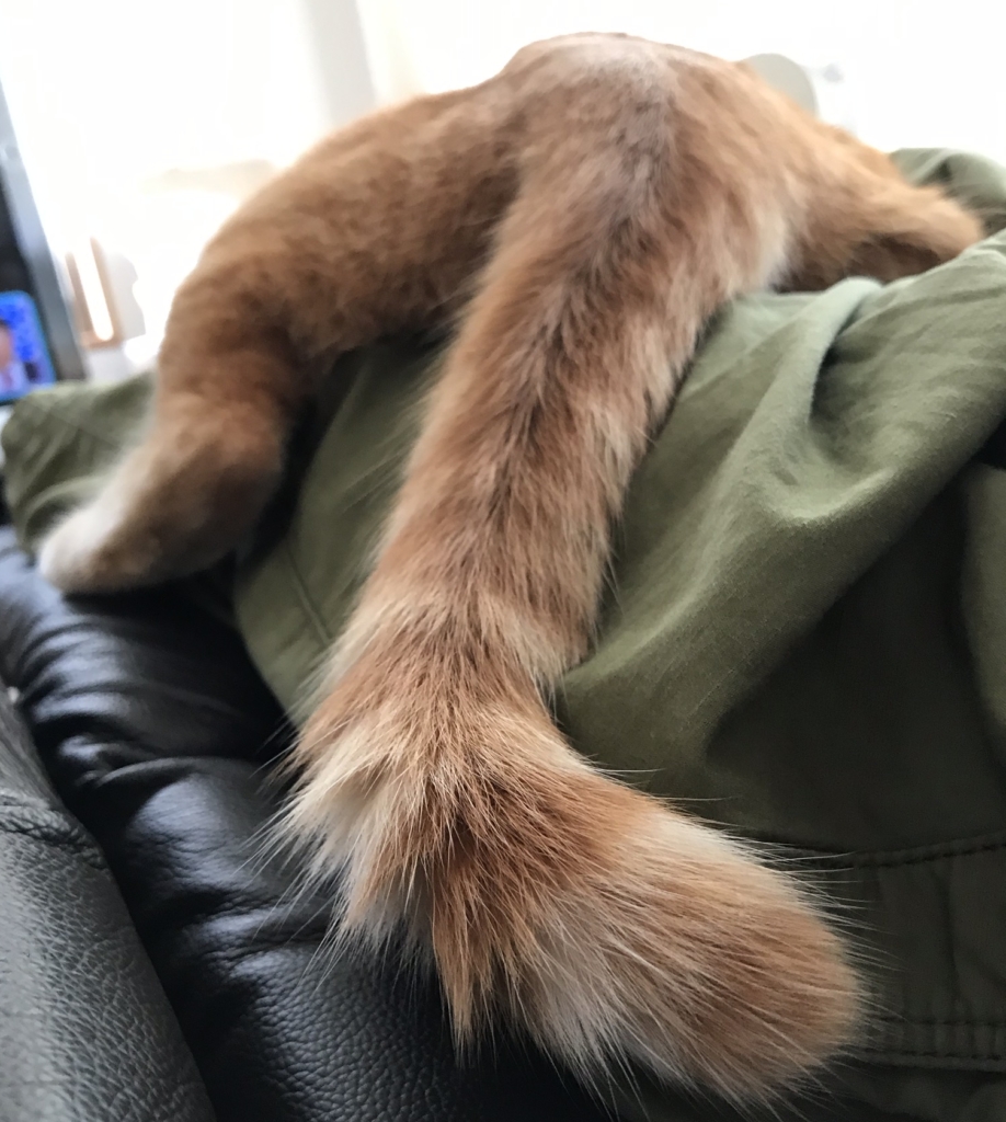 杭瀬卓球場SPARK