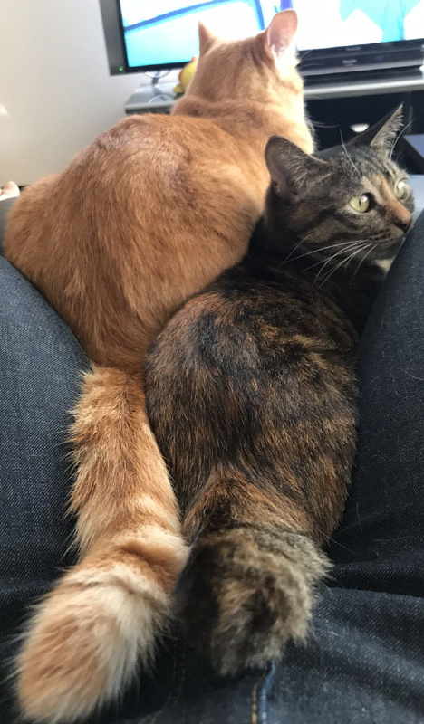 杭瀬卓球場SPARK