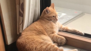 杭瀬卓球場SPARK